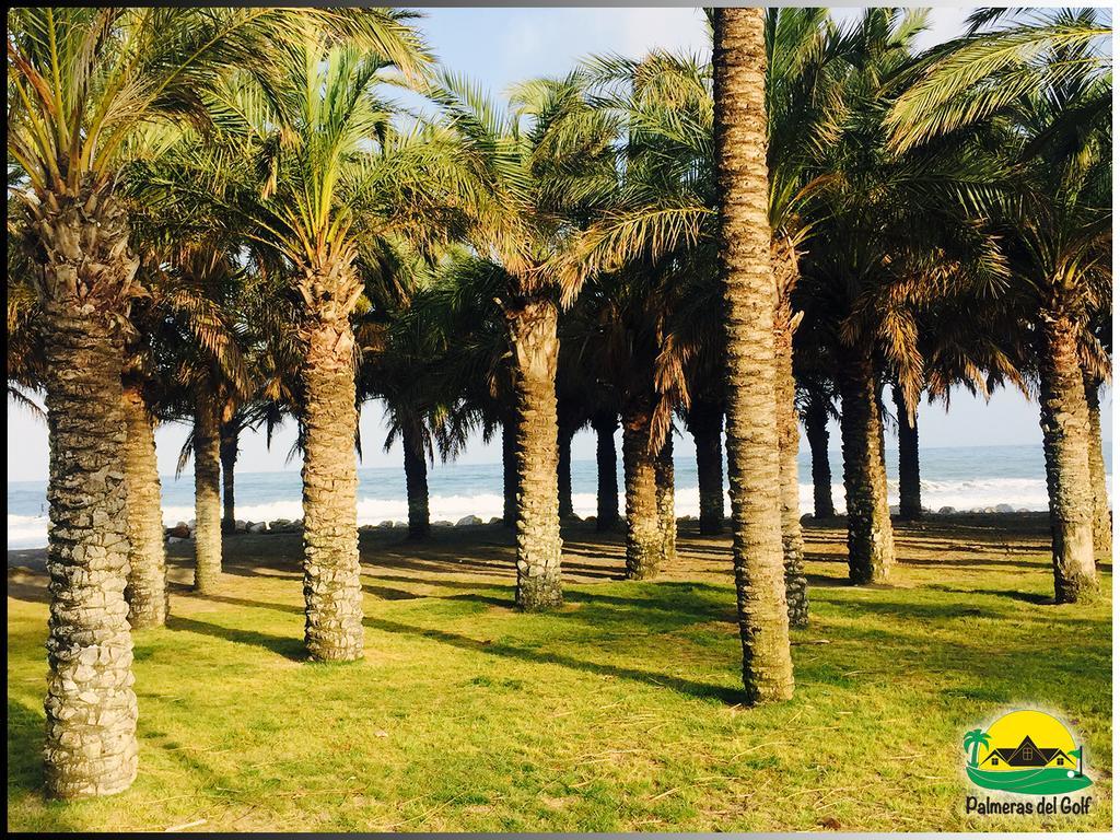 Palmeras Del Golf - Torrequebrada Benalmádena Room photo